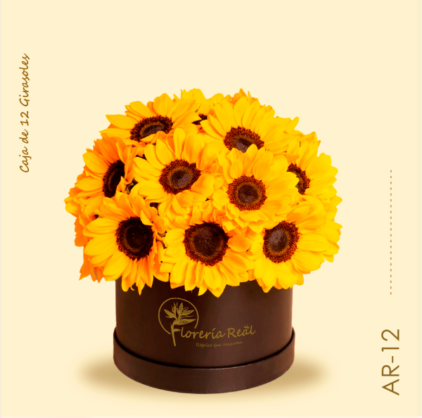 Caja de 12 girasoles