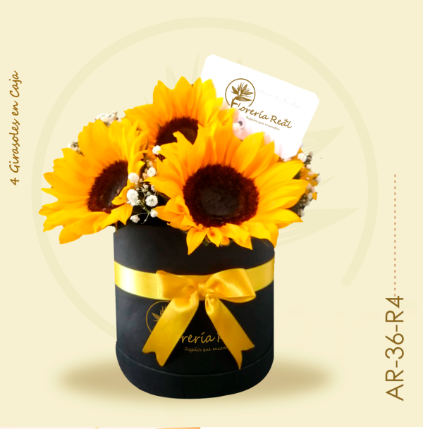 Caja de 4 Girasoles - Imagen 2