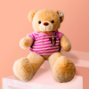 TIERNO OSITO CON CASACA ROSA