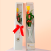 CAJA DE 3 TULIPANES