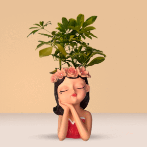 Regalo Natural y Decorativo para el Día de la Madre
